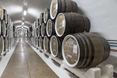 şarap mahzeni ve Şarap fıçıları