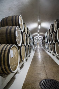 şarap mahzeni ve Şarap fıçıları