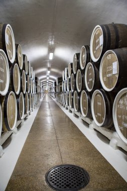 şarap mahzeni ve Şarap fıçıları