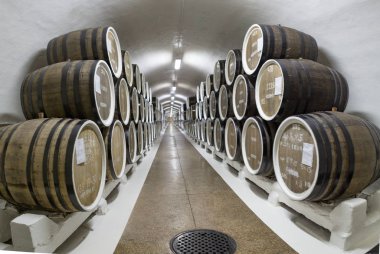 şarap mahzeni ve Şarap fıçıları