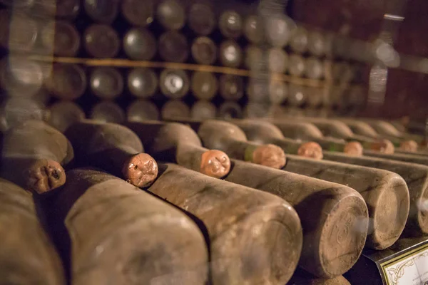 Cave à vin et tonneaux de vin — Photo