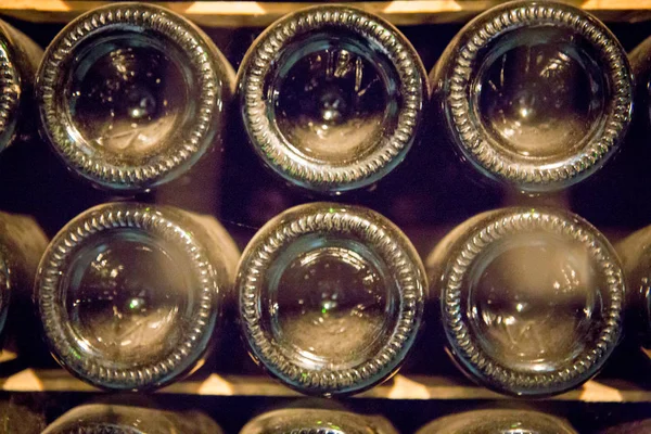 Wine cellar and wine barrels — Stock Photo, Image