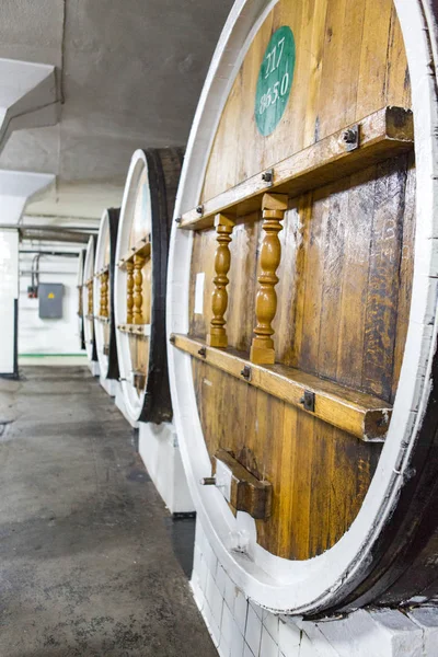 Wijnkelder en wijn vaten — Stockfoto