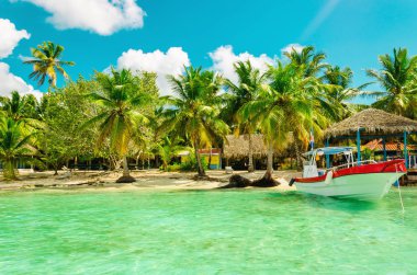 Amazing exotic palm tree beach with colorful boat, Dominican Republic clipart