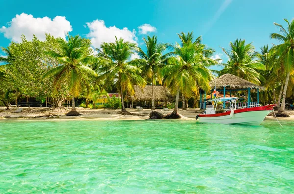 Exotic coast of Dominican Republic with high palms, colorful boats — Stock Photo, Image