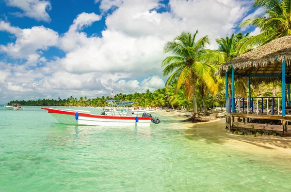 Incroyable côte des Caraïbes avec bateau à moteur amarré, République dominicaine Image En Vente