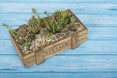 Plants in a wooden box on a blue background clipart