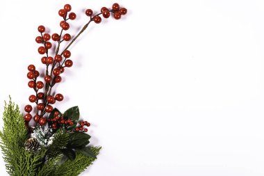 Beyaz arka planda çam kozalağı detayı olan ökseotu. Noel konsepti.