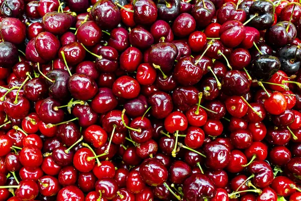 Lots Cherries Scattered Background — Stock Photo, Image