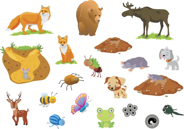 Animales Insectos Rana Renacuajos Zorro Cachorro — Vector de stock