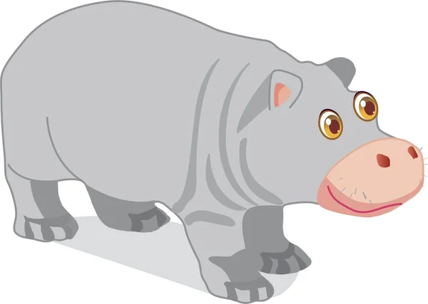 Hippo Animals Africa Big Gray — Stock Photo, Image