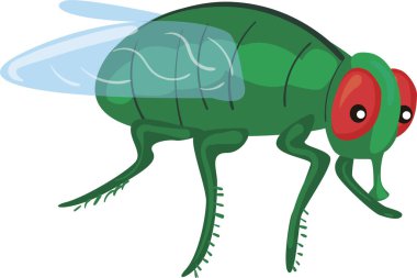    Uçan Böcek Yeşil Böcekler Çizim Clipart Eps 