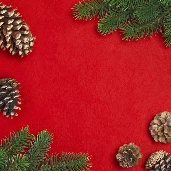 Zweig Des Weihnachtsbaums Und Zapfen Auf Rotem Hintergrund — Stockfoto