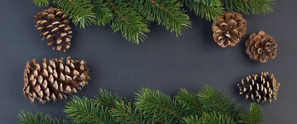 Tannenzweige Und Zapfen Auf Schwarzem Hintergrund Längstes Weihnachtsbanner — Stockfoto