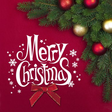 Köşe Noel köknar dalı