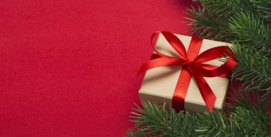 Noel ağacının dalları