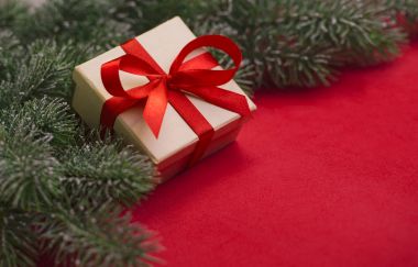 Hediye ve Noel ağacı dalları