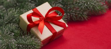 Hediye ve Noel ağacı dalları