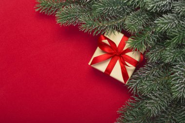 Hediye ve Noel ağacı dalları