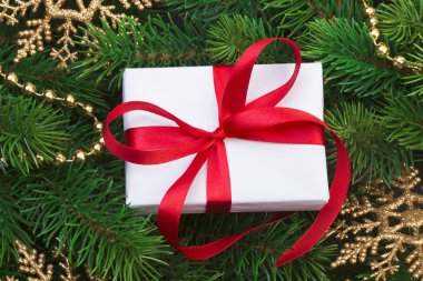 Hediye kutusu ve Noel ağacı dalları