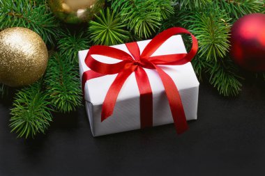 Noel ağacı dalı ve hediye kutusu