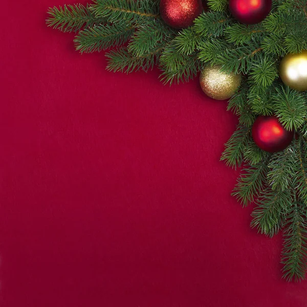 Gałąź jodła rogu Boże Narodzenie — Zdjęcie stockowe