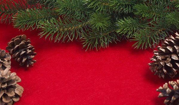 Ramo Abeto Cones Pinheiro Fundo Vermelho Modelo Para Cartão Natal — Fotografia de Stock