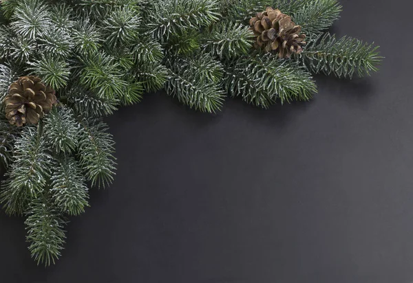 Kerstboom — Stockfoto