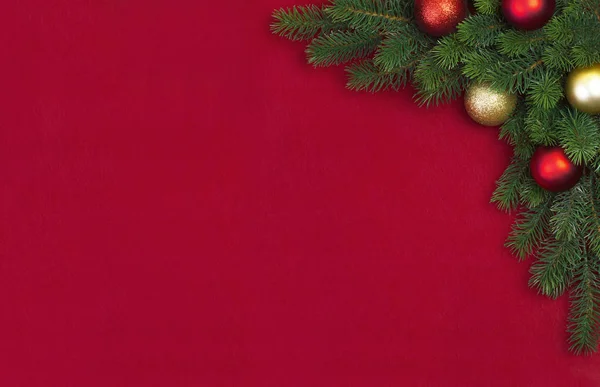 Corner Christmas fir branch — Stock Photo, Image