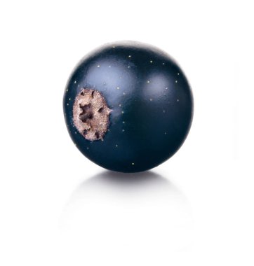 Beyaz zemin üzerinde bir siyah frenk üzümü