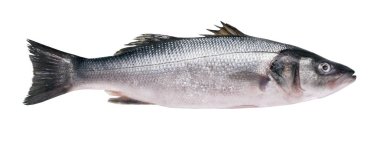 Beyaz arka plan üzerinde izole levrek karkas