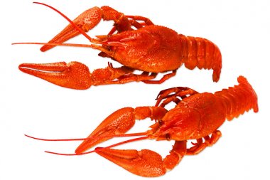 Beyaz arka plan üzerinde izole pişmiş kerevit çifti