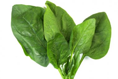  ıspanak yaprakları