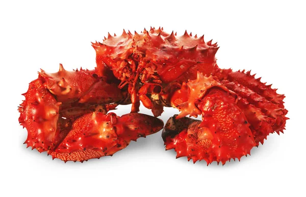 Big Kamchatka crab
