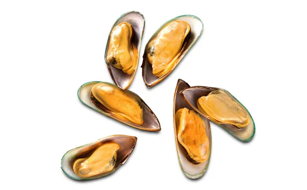 Mussels — Stock Photo, Image