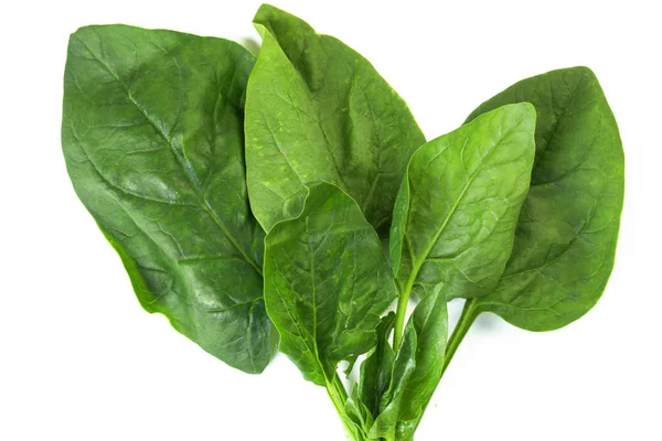 Spinach leaves — Stock Photo, Image