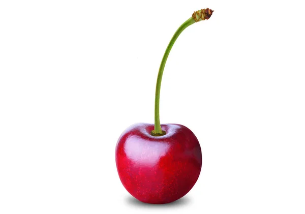 Cherry — Stock Photo, Image