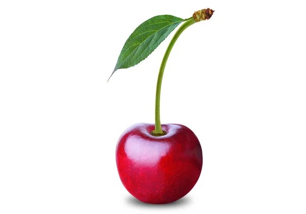 Cherry — Stok Foto