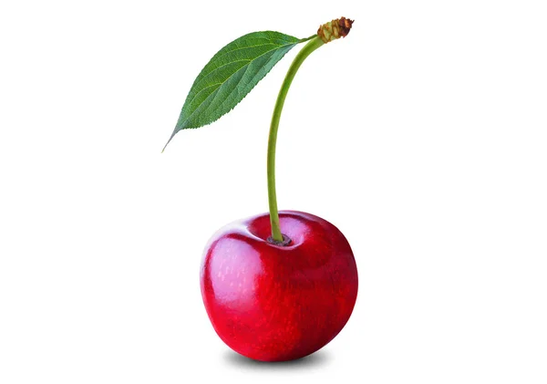 Cherry — Stock Photo, Image