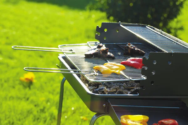 Carne grelhada em um jardim — Fotografia de Stock