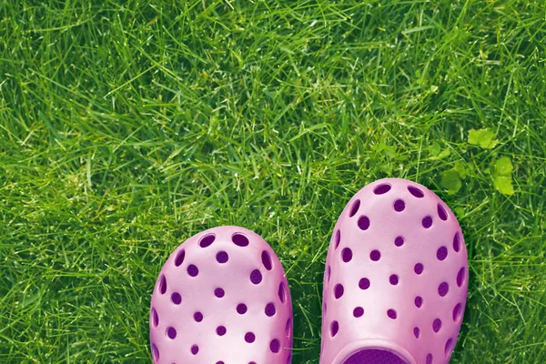 Crocs — Stock Photo, Image