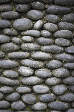 Arka plan doku eski bir duvarın üzerinden yuvarlak bir Arnavut kaldırımlı yosun kaplı