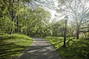 Central Park Manhattan Adası