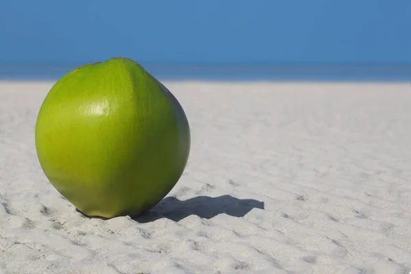 在海边的海滩上关闭椰子 — 图库照片