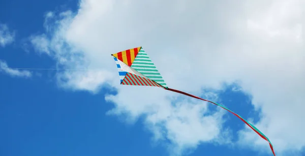 Flying kite — Stockfoto