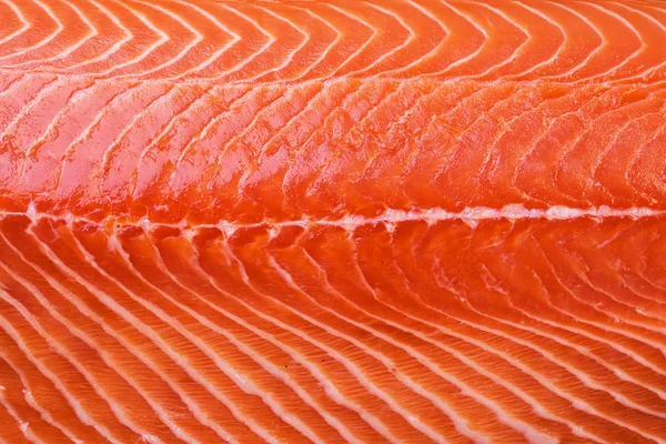 Background texture of fillet of salmon