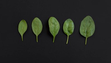 Bir siyah arka plan kara tahta izole marul yaprakları