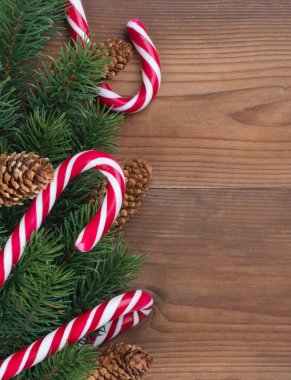 Çelenkler, koniler ve karamel ile süslenmiş Noel ağacı dalı