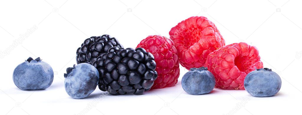 A bunch of wild berries isolated on a white background. Front view