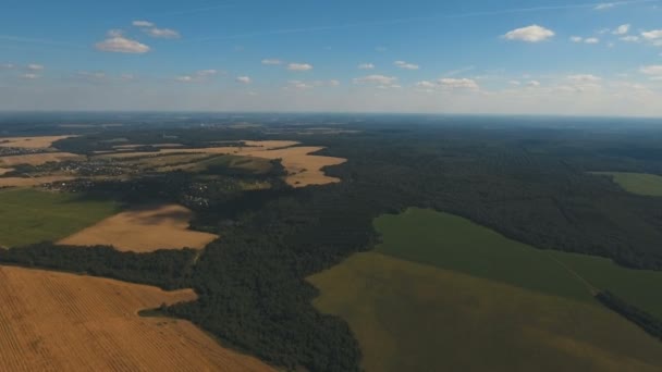 Vista aérea.Paisaje del bosque, campo, cielo . — Vídeos de Stock